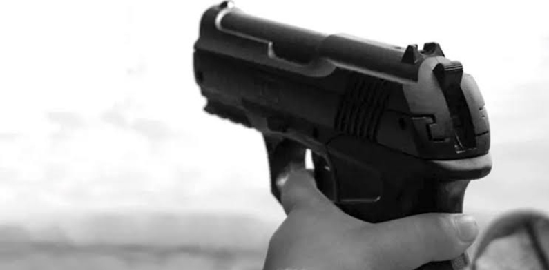 Criança de 3 anos atira em irmão gêmeo com arma da coleção do pai