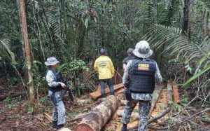 Na COP 27, Brasil apresenta ao mundo seus programas voltados à proteção da Amazônia e outros biomas nacionais