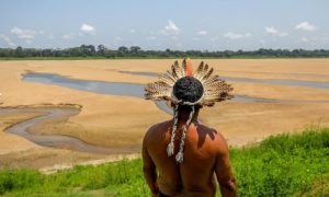 Rio Negro continua secando em ritmo acelerado e já prejudica mais de 600 mil pessoas no Amazonas