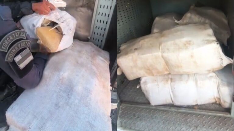VÍDEO: cerca de 300 kg de drogas são apreendidos no Lago Azul